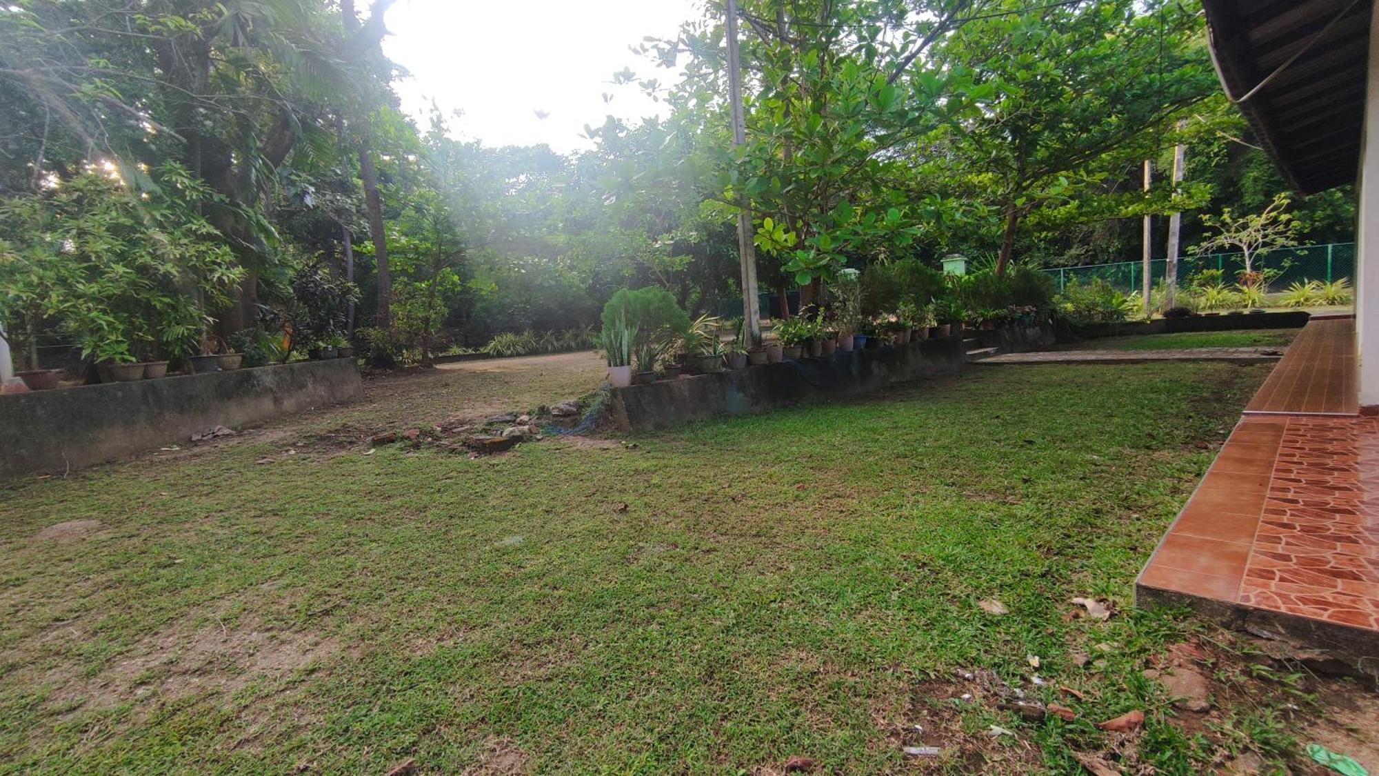 Deer Garden Guest Otel Polonnaruwa Dış mekan fotoğraf